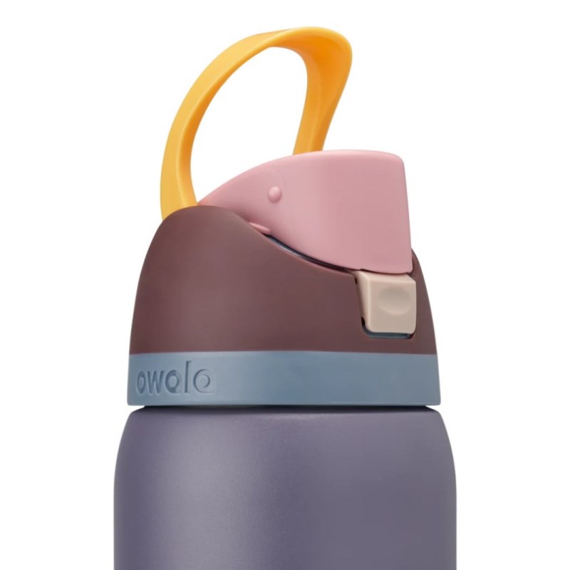 Owala 32oz FreeSip® Stainless Steel Waterfles Donkerblauw | TCP2857LQ